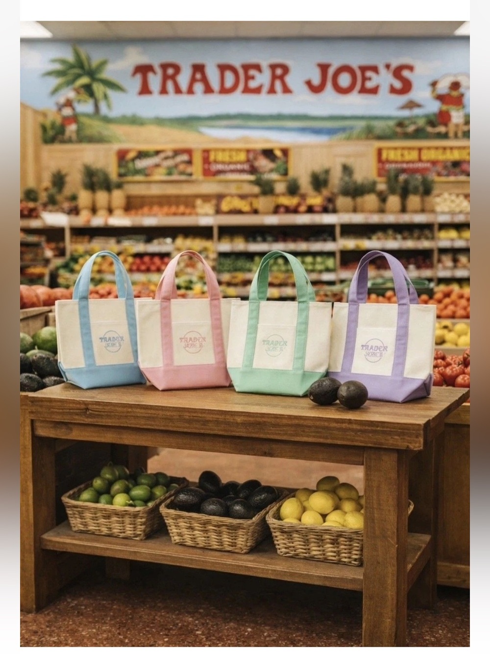 Spring 2026 Trader Joe's Mini
Pastel Canvas Tote Bag Set Of 4